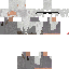 Texture for Steve