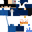 Texture for seba