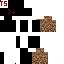 Texture for bash2313
