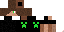 Texture for sandro200ize