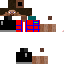 Texture for SLNC-Leitung