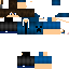 Texture for VanixGo