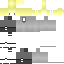 Texture for 史蒂夫