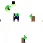 Texture for LUIGI