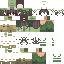 Texture for niika frog
