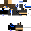 Texture for david 10