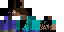 Texture for endersteve