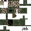 Texture for Schield