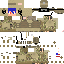 Texture for US army
