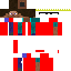 Texture for steve roi