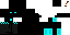 Texture for Timmi2001