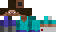 Texture for Reincarnation of Steve