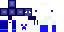 Texture for ds