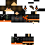 Texture for Hieu Miner