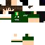 Texture for cadres com a roupa do palmeiras