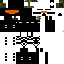 Texture for T E X A S