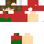 Texture for SIERU TOUGARASHI