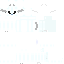 Texture for Ori