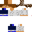 Texture for Raphael