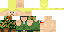 Texture for guile