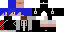 Texture for LMJ