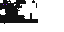Texture for ender pollo