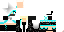 Texture for ice ninja