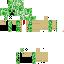 Texture for creeper