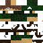 Texture for thijs12