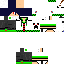 Texture for cpm