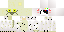 Texture for Jeremywindt