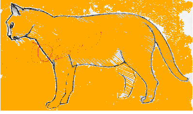 Texture for catman