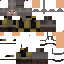 Texture for Guard