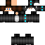 Texture for DINO