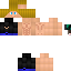 Texture for skymaxie 11