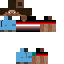 Texture for steve de thomas