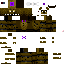 Texture for Sprintrap