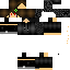 Texture for マイクラスキン