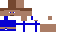 Texture for SameliTheCamel