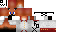 Texture for Fox