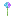 Texture for allium