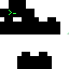 Texture for bash2313