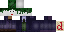 Texture for game_player