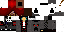 Texture for max