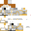 Texture for gosspeed_flash
