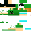 Texture for creeperzaza3217