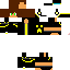 Texture for RAIDEN