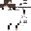 Texture for sdsv