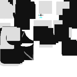Texture for black and white ender dragon