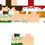 Texture for steve